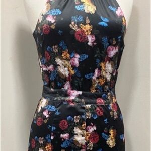 Voodoo Vixen Old Masters High Neck Dress 50s